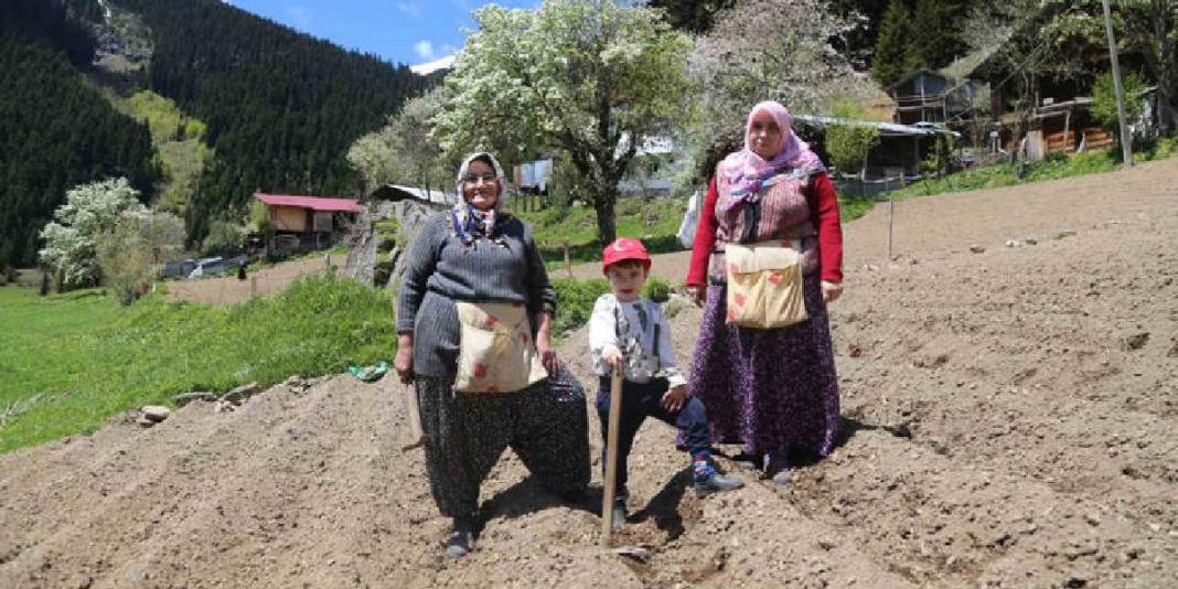 1453 rakımda imece usulü tarım yapıyorlar! 25 hektar insan gücüyle işleniyor 4